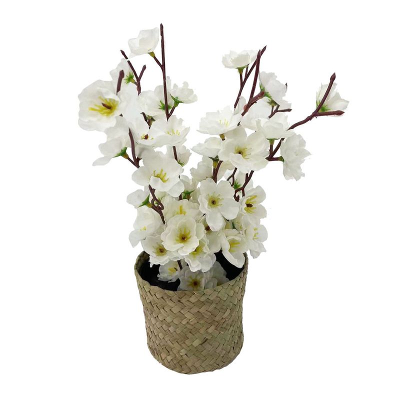 Flor-en-Canasto-Krea-Nativa-1-278319