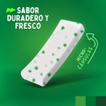 Chicles-Sin-Az-car-Trident-Evup-Yerbabuena-18un-2-58018