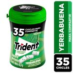 Chicles-Sin-Az-car-Trident-Sabor-Yerbabuena-45-5g-1-235444