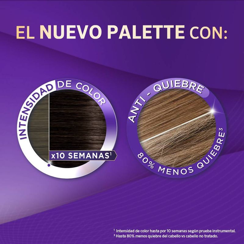 Tinte-Palette-Icc-6-888-Rubi-Seductor-2-137157