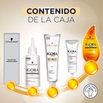 Tinte-Vital-Igora-Chocolate-Dorado-6-34-3-18731
