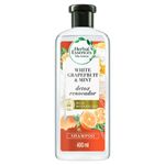 Shampoo-Herbal-Essences-White-Grapefruit-Mint-400ml-1-289848