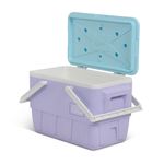 Cooler-Igloo-25Qt-Picnic-Retro-Lila-3-267742