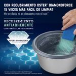 Arrocera-Oster-recubrimiento-DiamondForce-Sake-2-294716