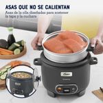 Arrocera-Oster-recubrimiento-DiamondForce-Sake-5-294716