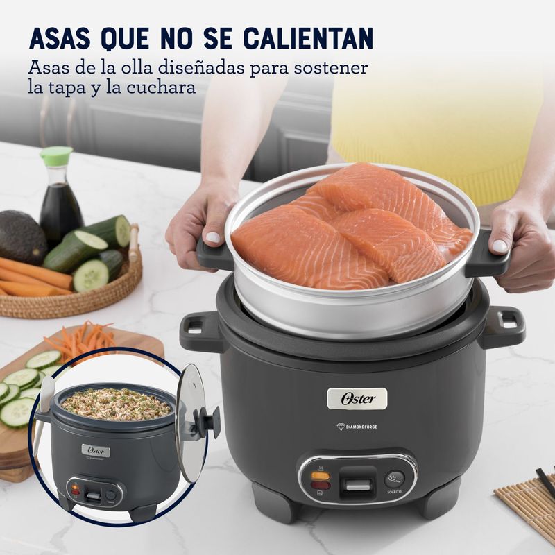 Arrocera-Oster-recubrimiento-DiamondForce-Sake-5-294716