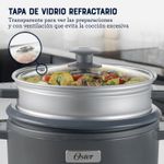 Arrocera-Oster-recubrimiento-DiamondForce-Sake-6-294716