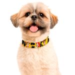 Collar-Toy-Story-Woody-Jessy-Yellow-L-2-294187
