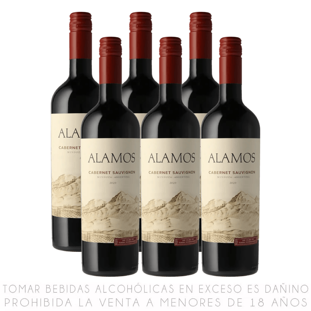 Sixpack Vino Tinto Cabernet Sauvignon Álamos Botella 750ml
