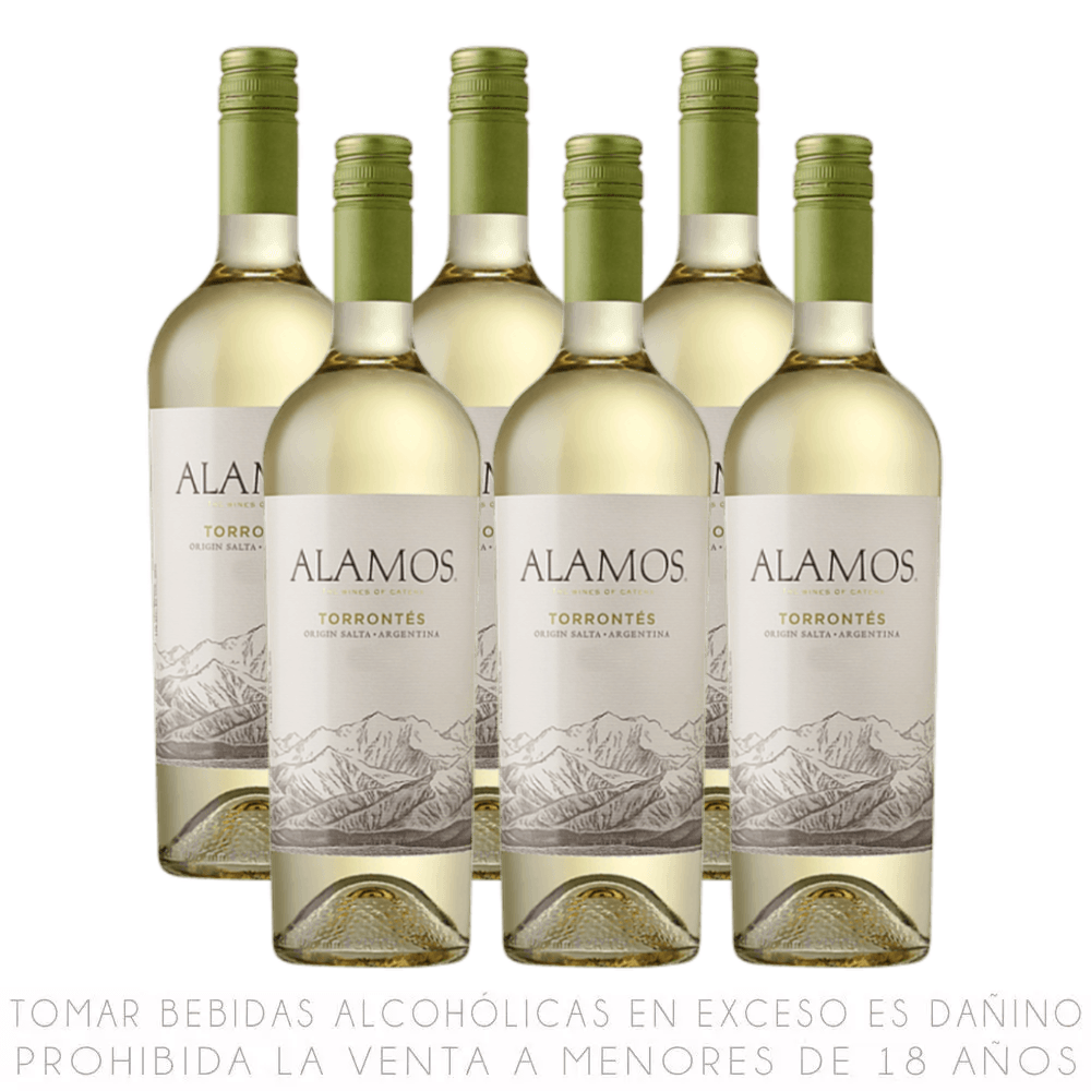 Sixpack Vino Blanco Torrontés Álamos Botella 750ml
