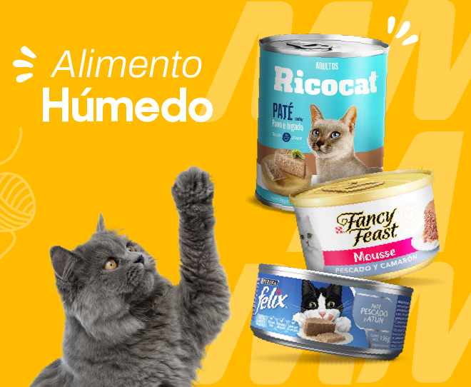 Alimento húmedo