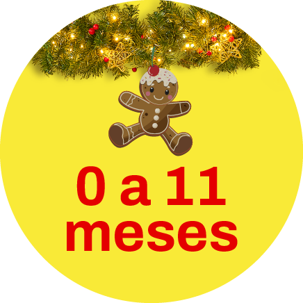0 a 11 meses