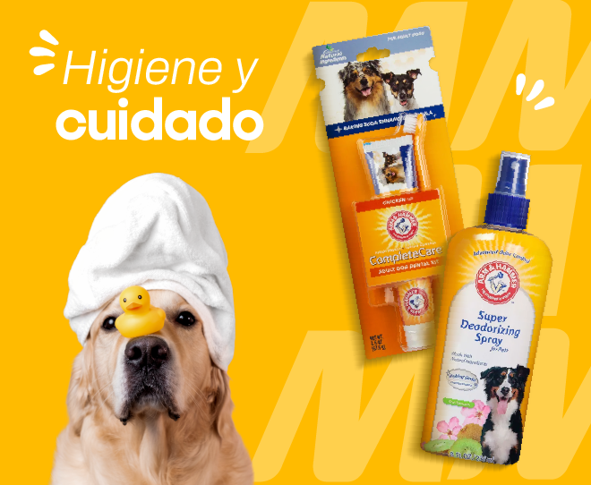 Higiene