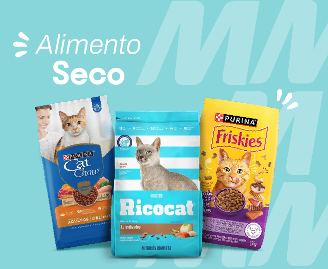 Alimento seco