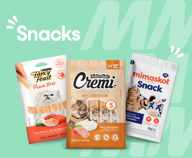 Snacks