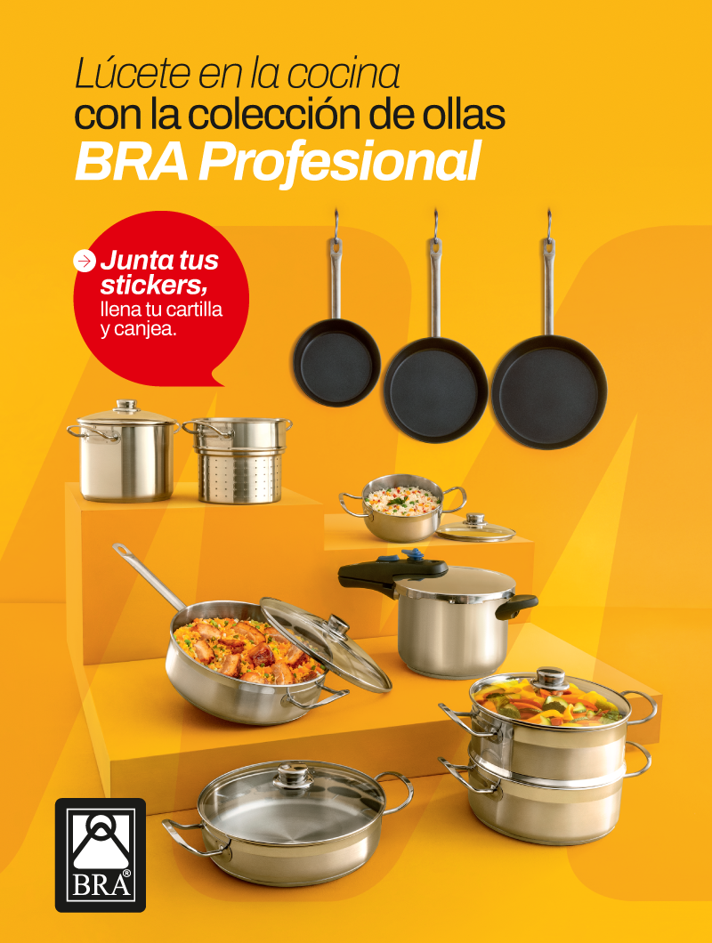 bra-profesional