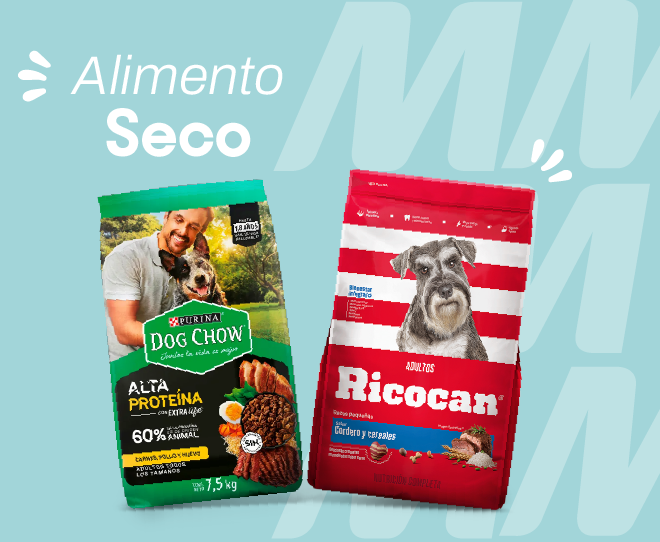 Alimento seco