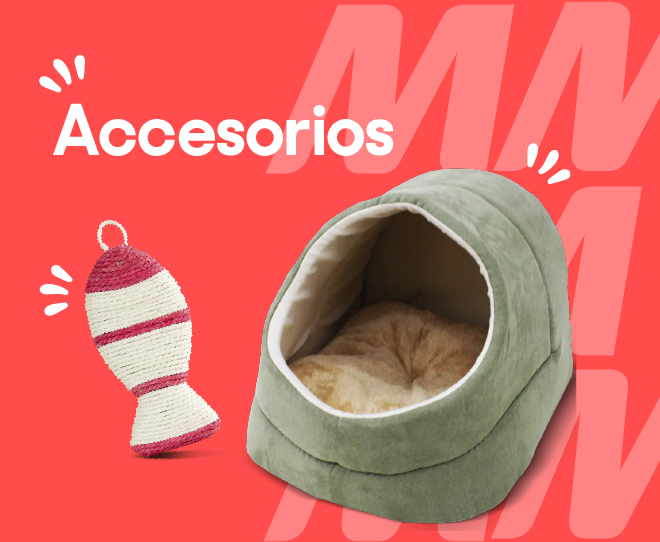 Accesorios