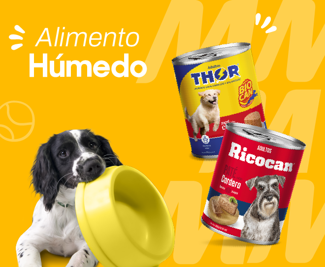 Alimento húmedo