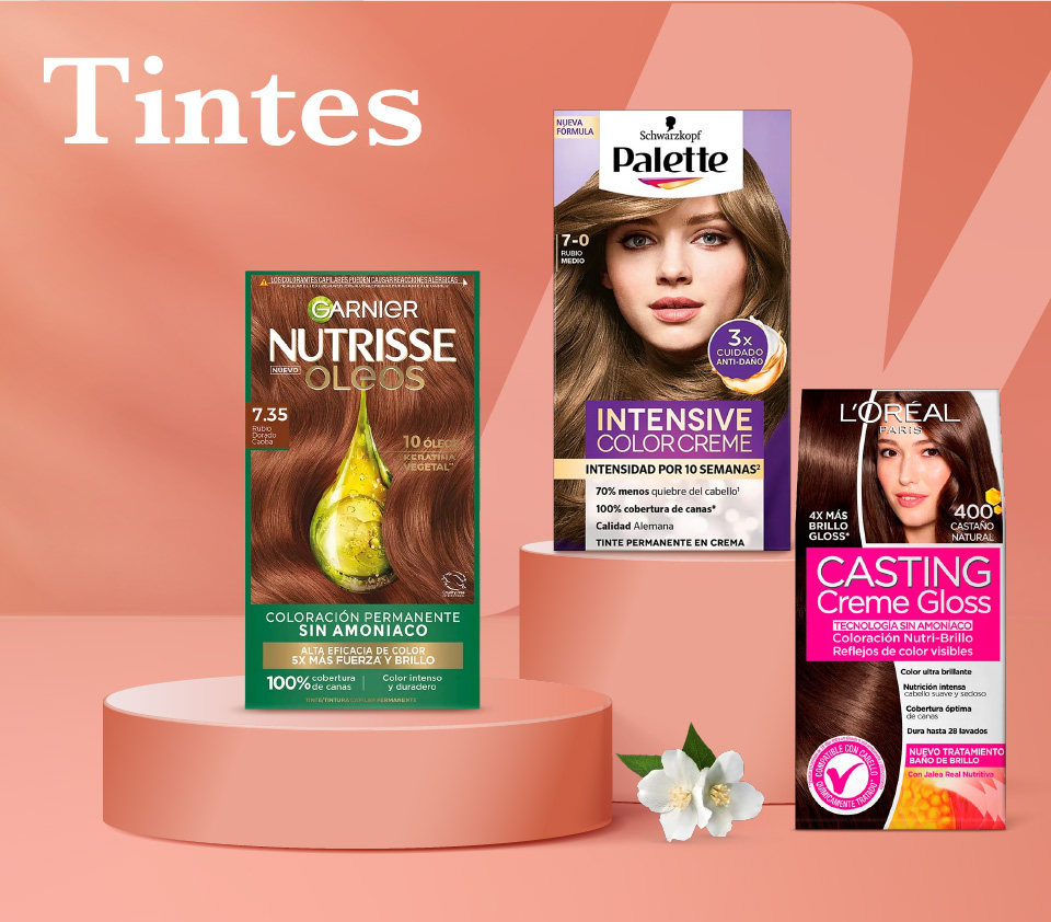 TINTES